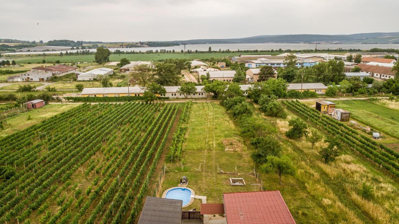 Penzion S Restauraci Na Furhaple Šakvice المظهر الخارجي الصورة
